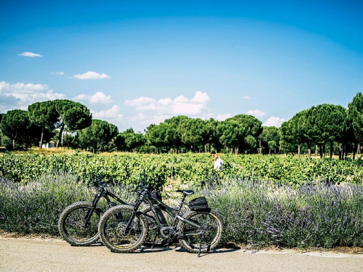 Отель Abadia Retuerta Ledomaine Сардон-де-Дуэро Экстерьер фото